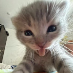 Avatar de MIGUELH08945