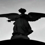 Avatar de exotyproturned