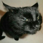 Avatar de Denoni