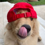 Avatar de Nielzinho76