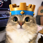 Avatar de Turukbs