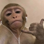 Avatar de Lim777
