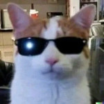 Avatar de Rapha008
