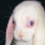 Avatar de xavierxl