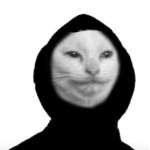 Avatar de ericksemfrei