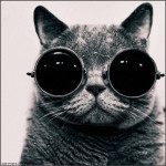 Avatar de 9090danny