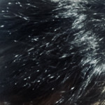 Avatar de Erickttu