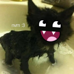 Avatar de Levixpiroscudo