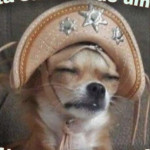 Avatar de Thallesbrao88