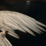 Avatar de WaiterX