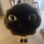 Avatar de Eduardox07
