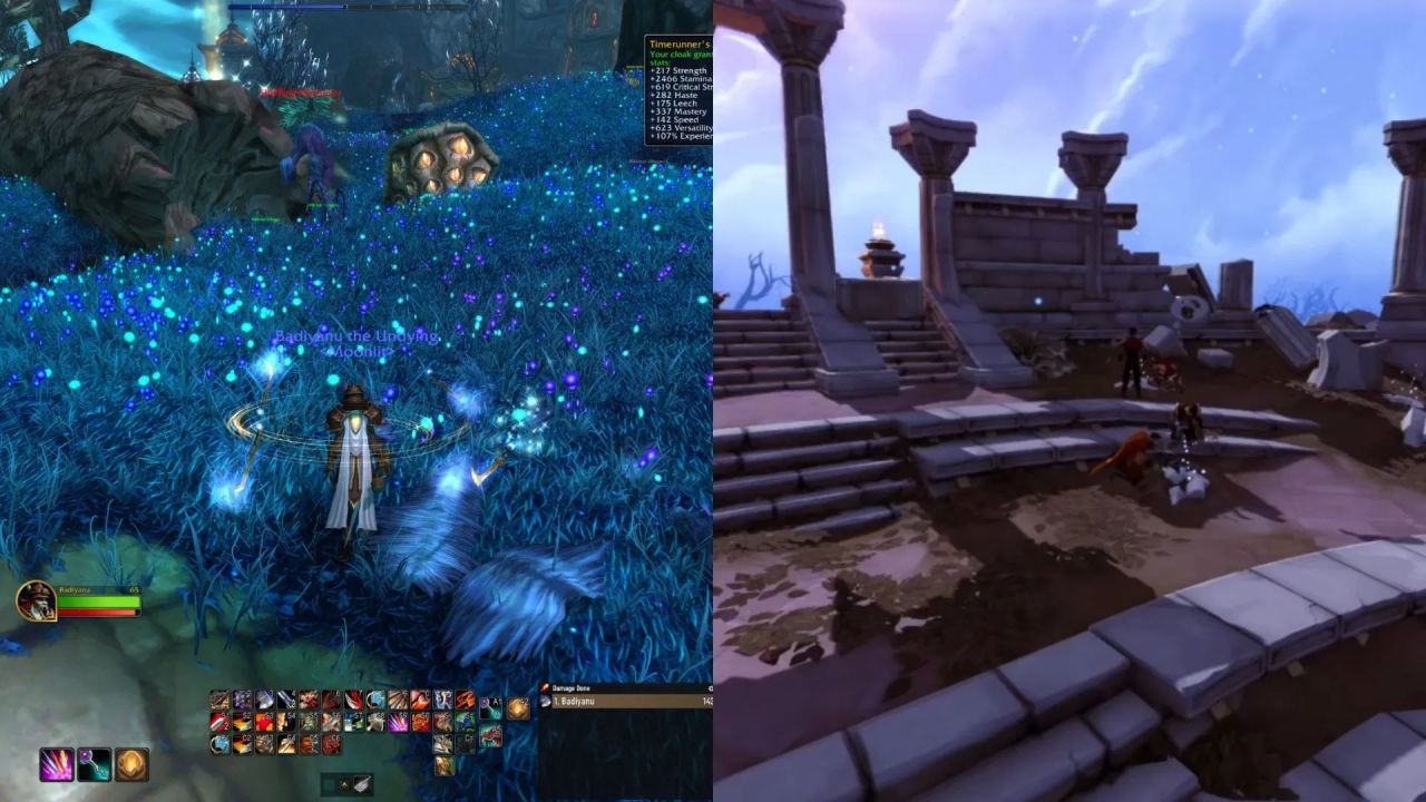 Ambos os jogos têm assinaturas - uma é obrigatória e a outra parece necessária, mas não é. (Imagem via Blizzard || Jagex)