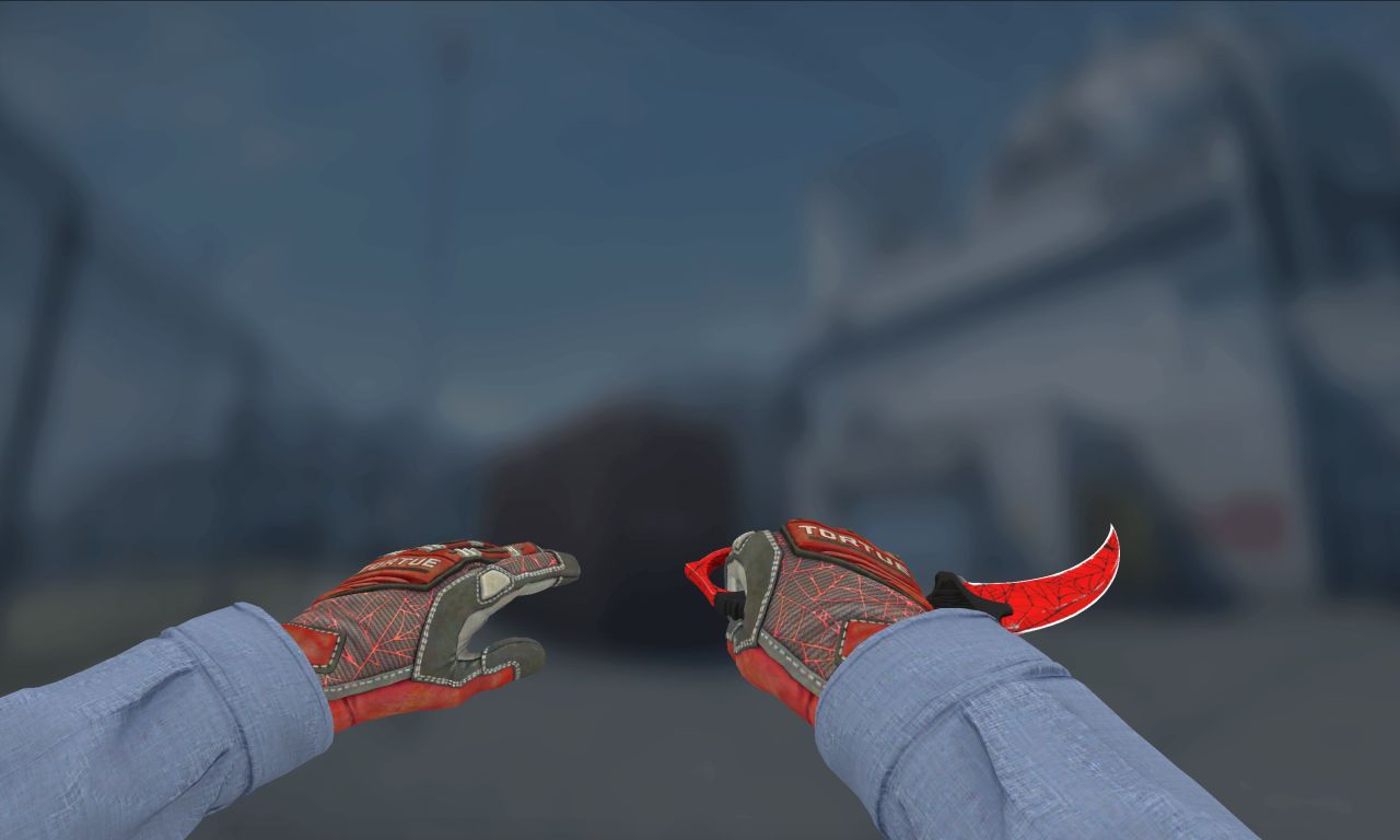 How much could i get for a Karambit crimson web MW ST pattern 760 Float  0.1395 I would appreciate it if you could let me know and also know if the  pattern