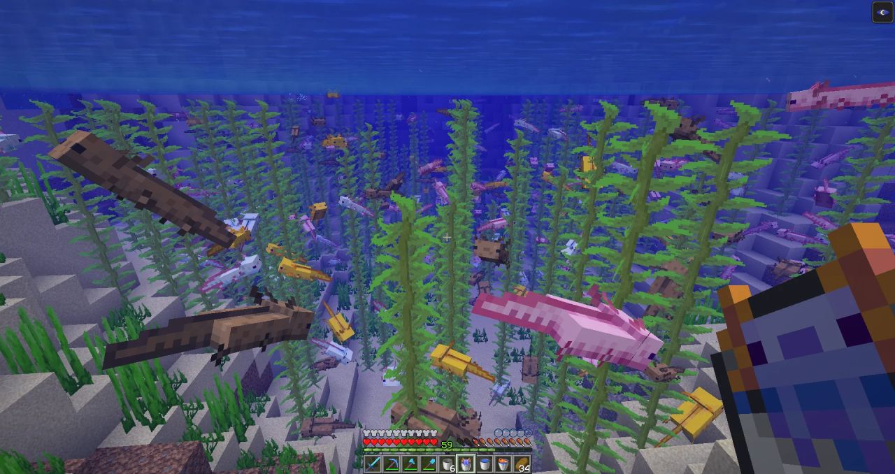 Finalmente criei a axolotl azul! : r/Minecraft