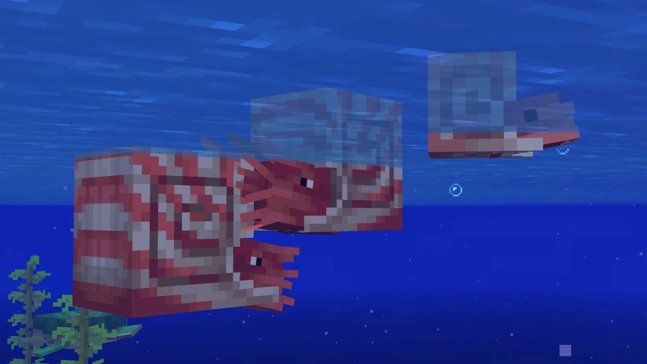 How to tame, ride, and breed nautilus in Minecraft