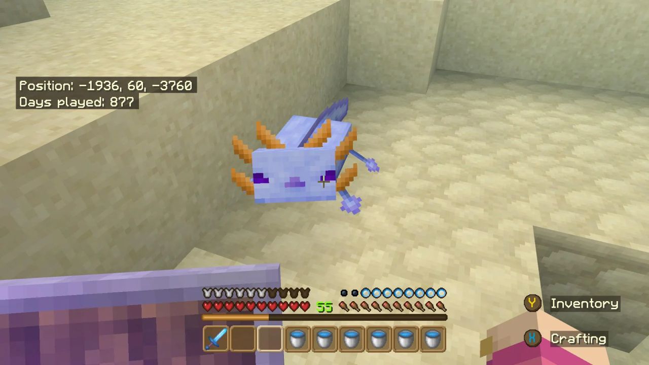 Eu peguei o axolote azul : r/Minecraft