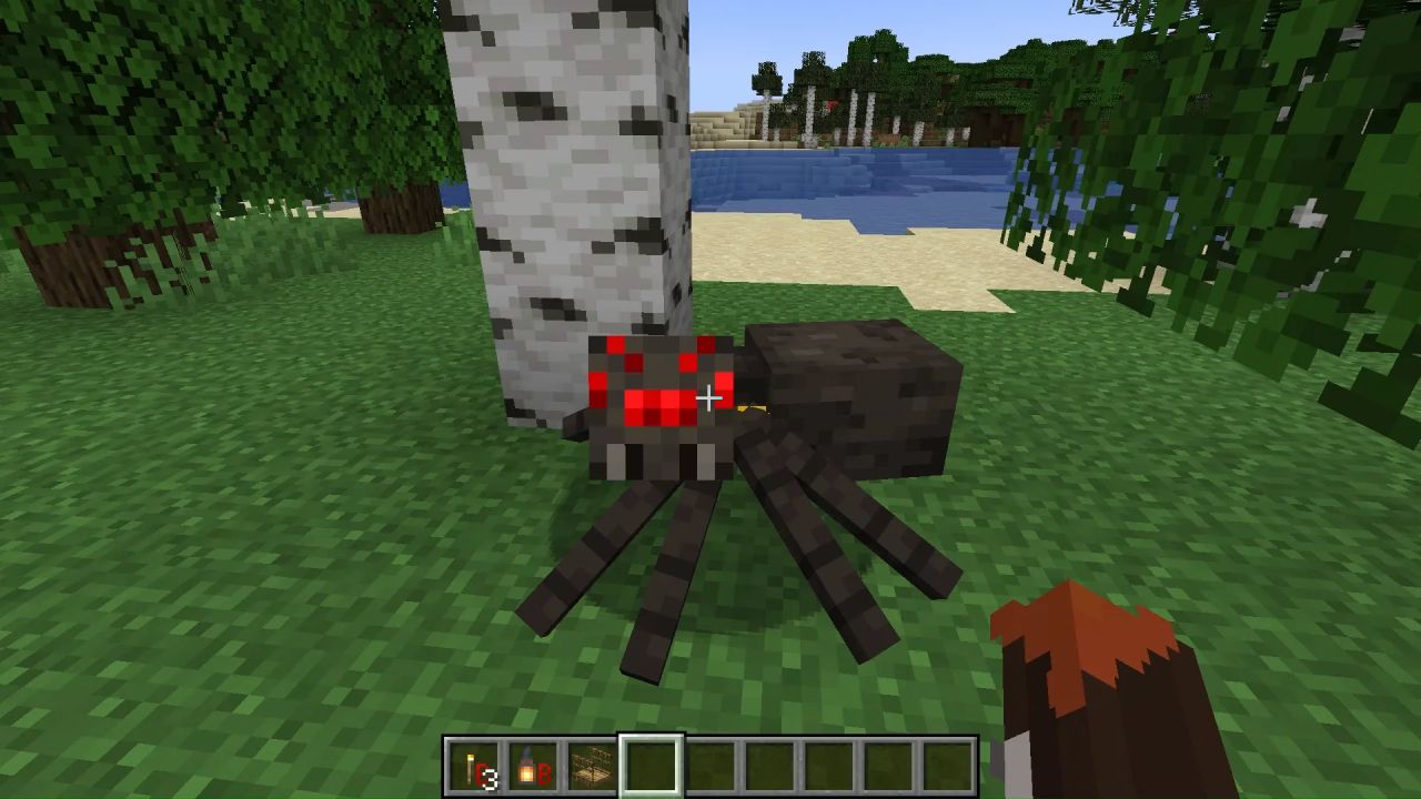 Aranhas podem aparecer com efeitos de poção!?!?!?