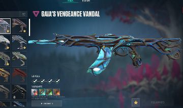 CONTA VALORANT EX RADIANTE