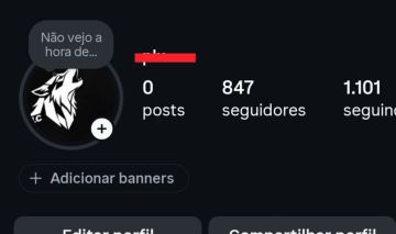 Conta insta com 800 seguidores