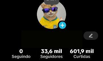 CONTA DE TIKOK MONETIZADA 33,6K DE SEGUIDORES E 601,9K DE CURTIDAS