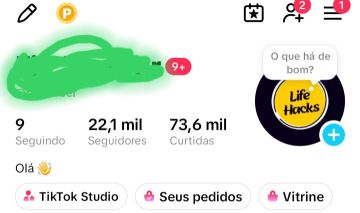 CONTA TIK TOK 22.OOO SEGUIDORES REAIS BRASILEIROS (PRONTA PARA VOCE USAR )