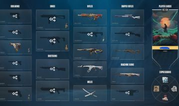 Conta Valorant com várias skins 800 gastos
