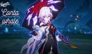 CONTA WHALE HSR ENDGAME TL MAXIMO | 11 ASSINATURAS