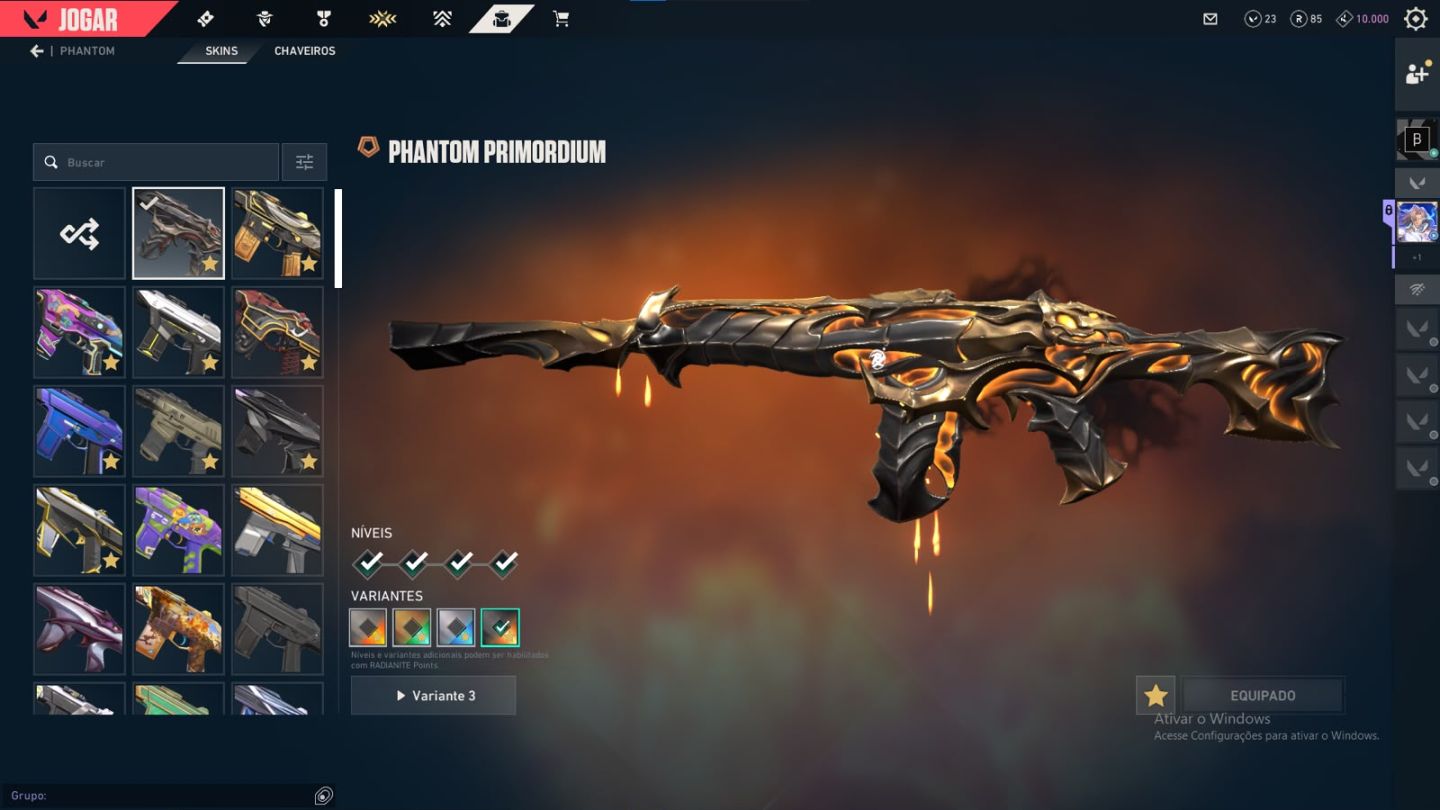 CONTA COM DIVERSAS SKINS E CARDS DO BETA