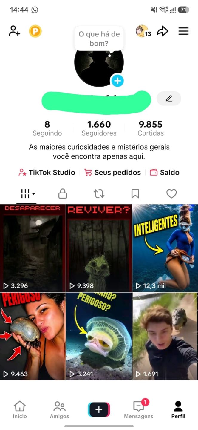 CONTA TIKTOK PRA MONETIZAR