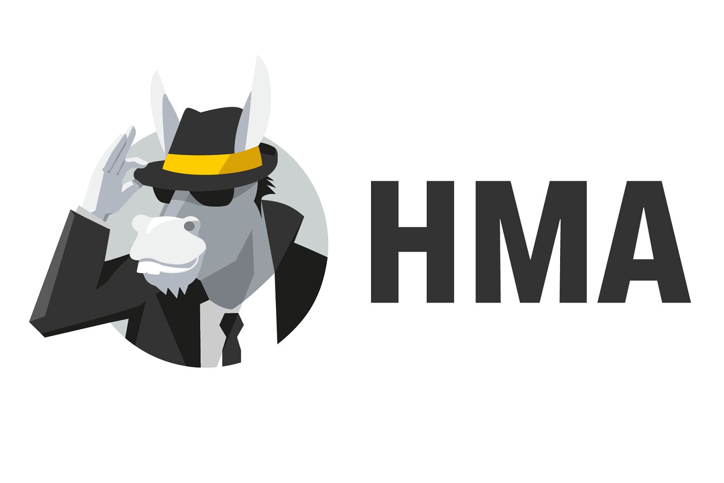 HMA VPN PRO 30 DIAS | NA SUA CONTA +15 DIAS DE BRINDE