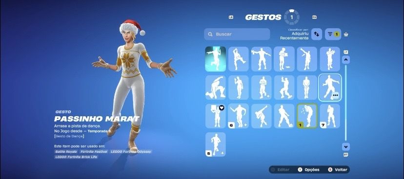 FORTNITE 90+ SKINS | RENEGADA FLAMEJANTE | FOICEBOL | MELLORETA | GARRA-GATO