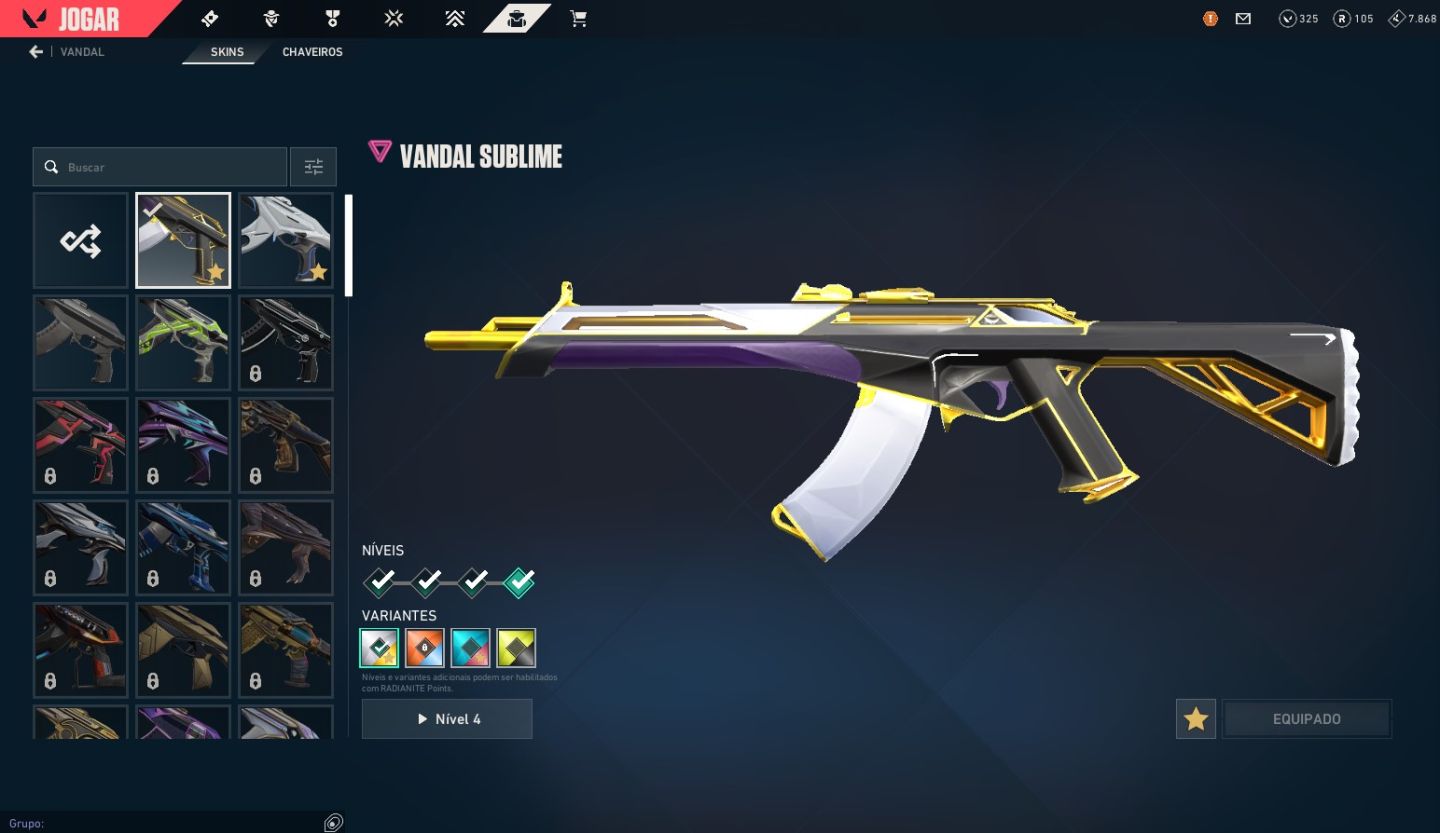 CONTA VALORANT | FACA ZEROFANG + VANDAL SUBLIME + VANDAL ION | RANK PRATA