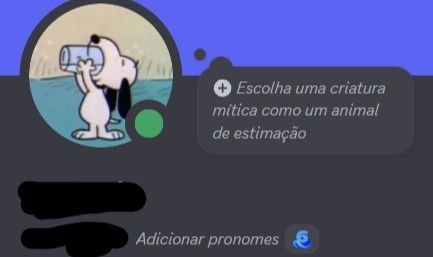 Conta Discord Antiga (2020) | Acesso Total (Full Acesso)