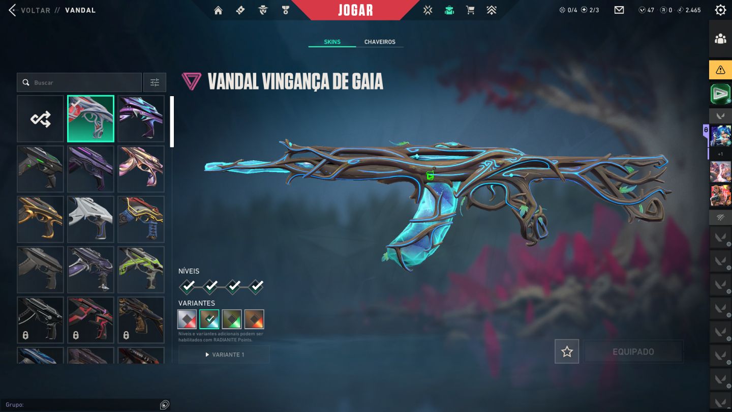 Conta com 8 vandais boas