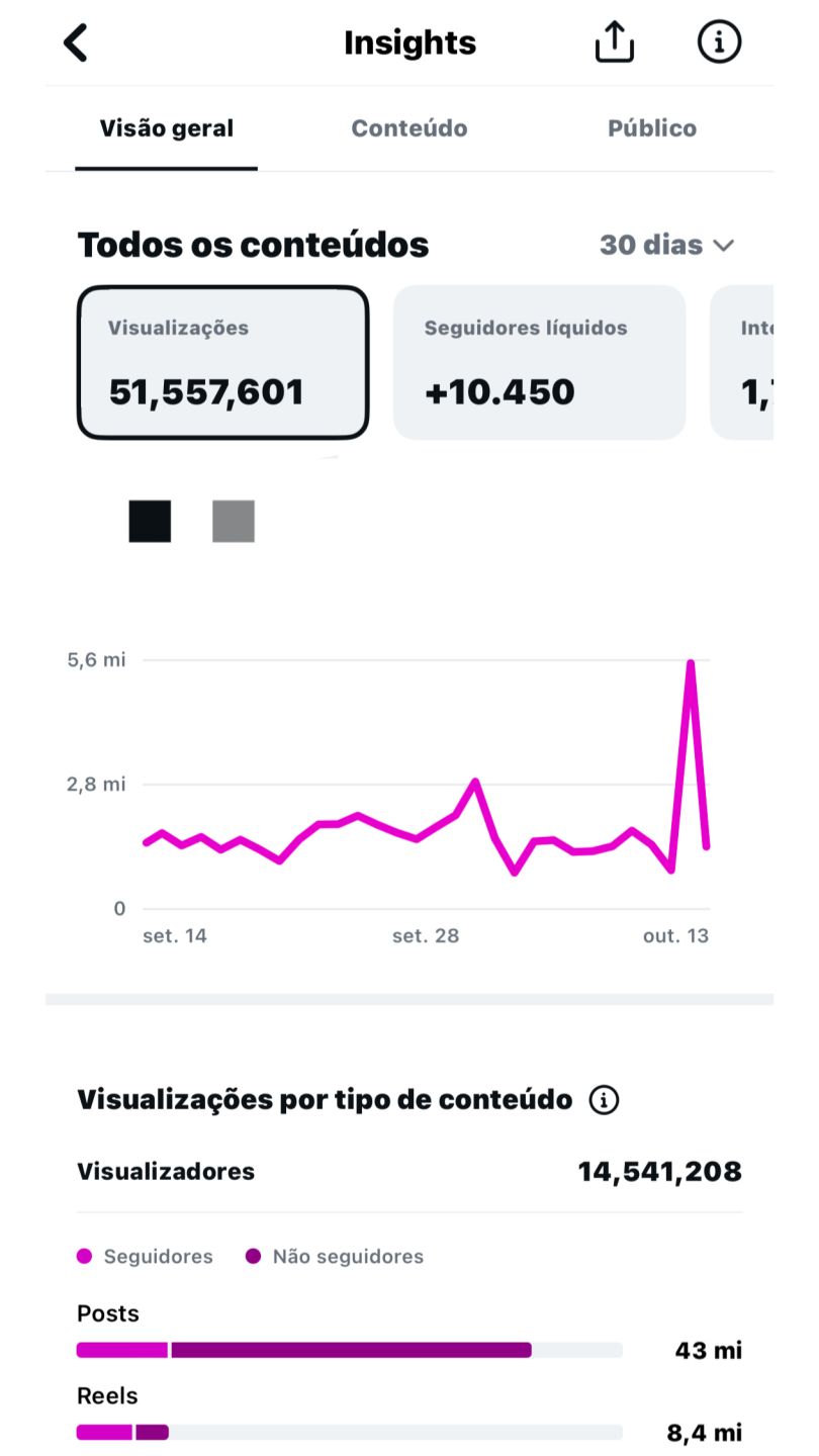 Perfil Instagram 316k Orgânico | 51M Views + E-mail Original