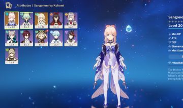 Kokomi | AR 25 | Entrega Automática