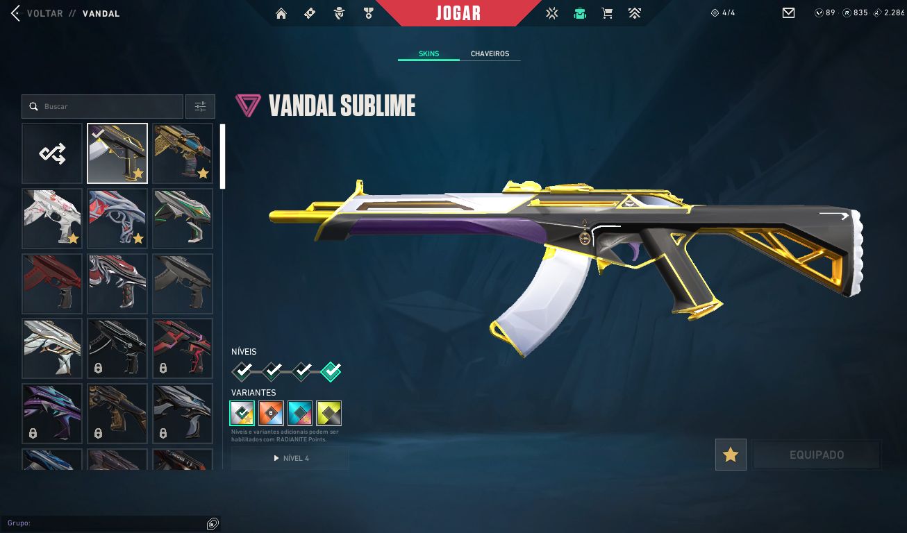Conta LoL + VALORANT | Vandal Arcane | Todos os Champs e Agentes