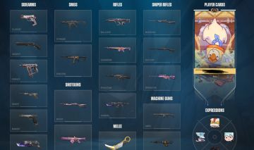 CONTA DE VALORANT FULL AGENTES, MD5, VANDAL AEMONDIR, KARAMBIT SUBLIME