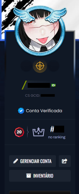 ELOBOOST COUNTER STRIKE - 2 / ELOJOB CS2 / BOOST RANK GC e ESPECIAL