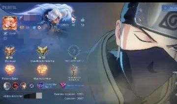 1 x CONTA MOBILE LEGENDS, 294 SKINS