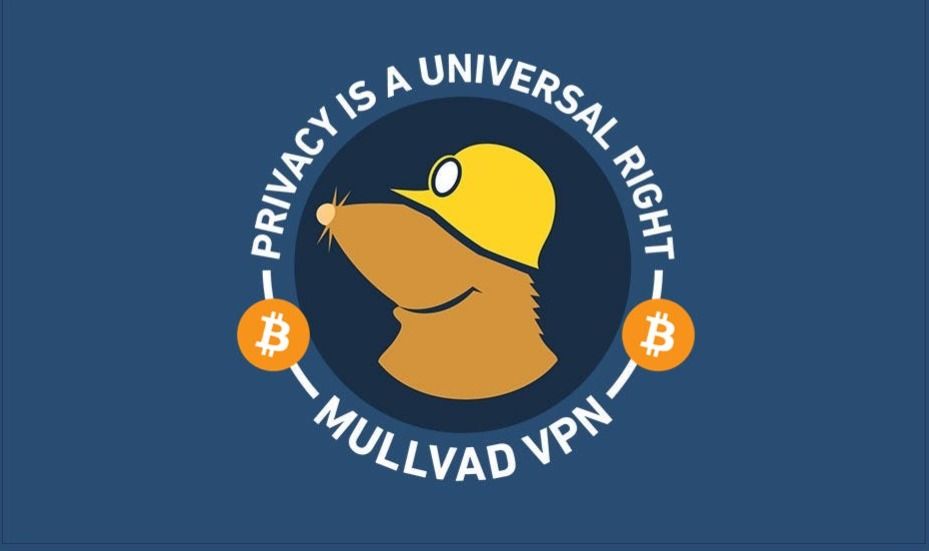CONTA MULLVAD VPN POR 29 DIAS | ENTREGA RAPIDA E MENOR PREÇO!!! + BRINDE