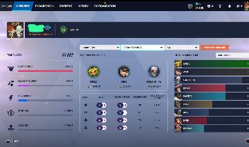 Overwatch champion account
