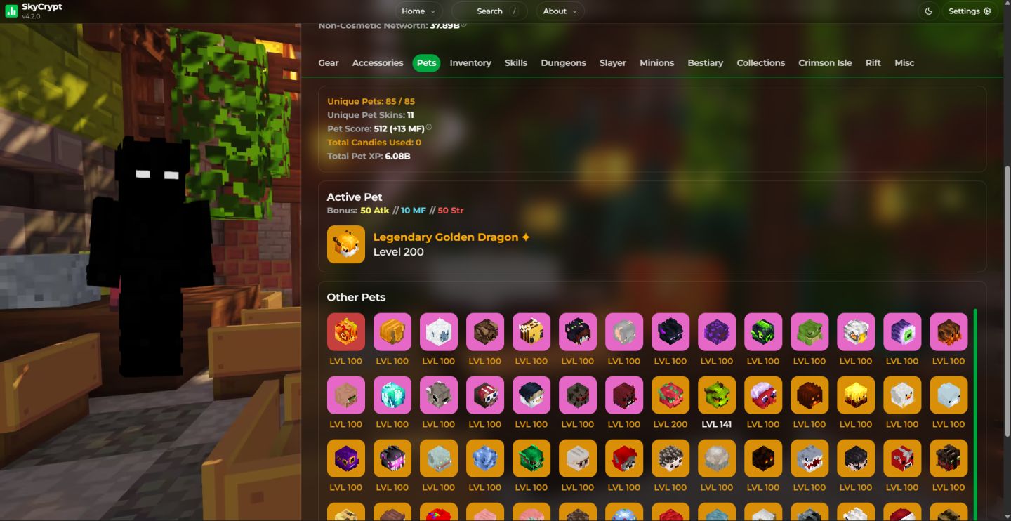 Conta Hypixel SkyBlock Endgame | 41.86B Networth | Level 588 | Skill avg 57