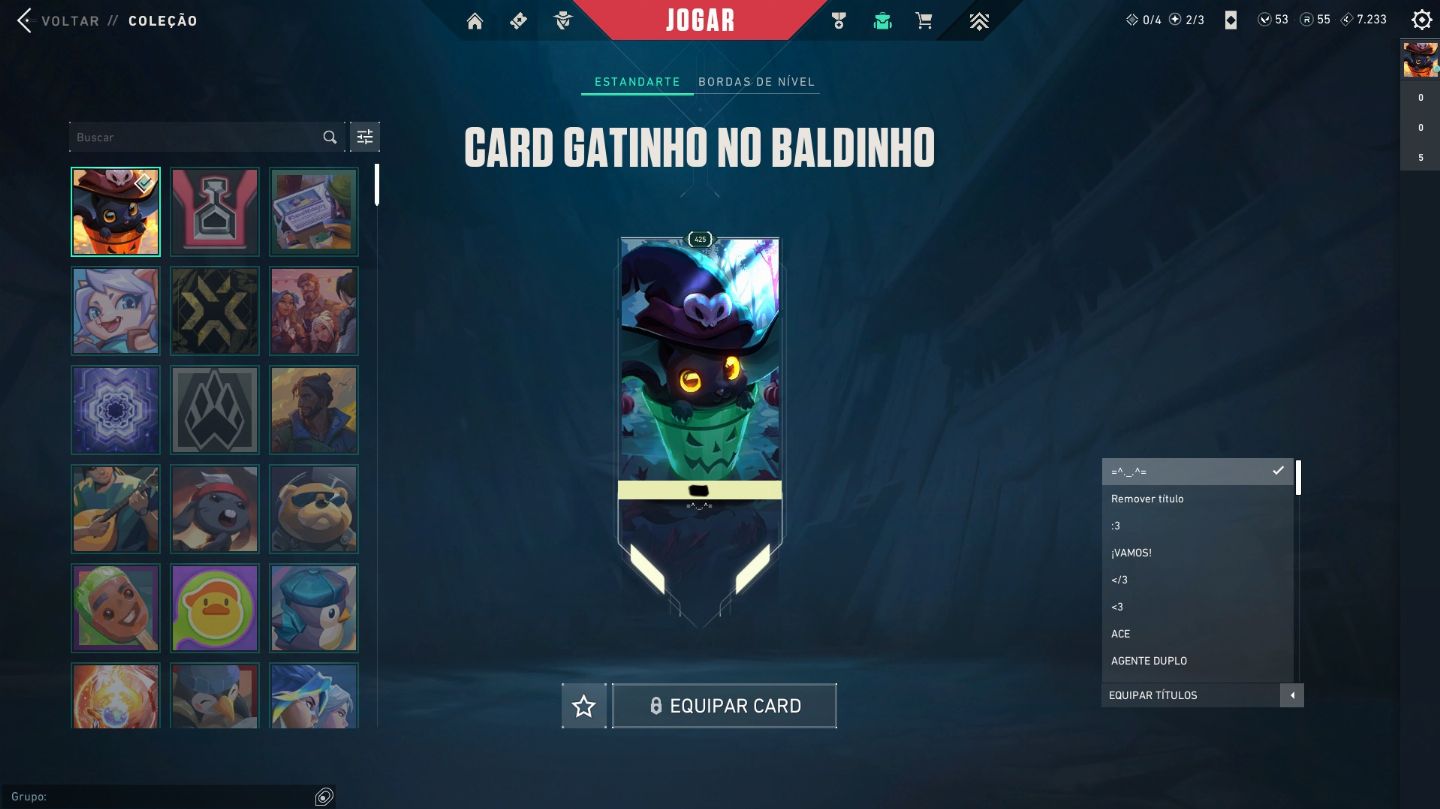 Conta Valorant mais de 14mil já gastos, quase todas as skins