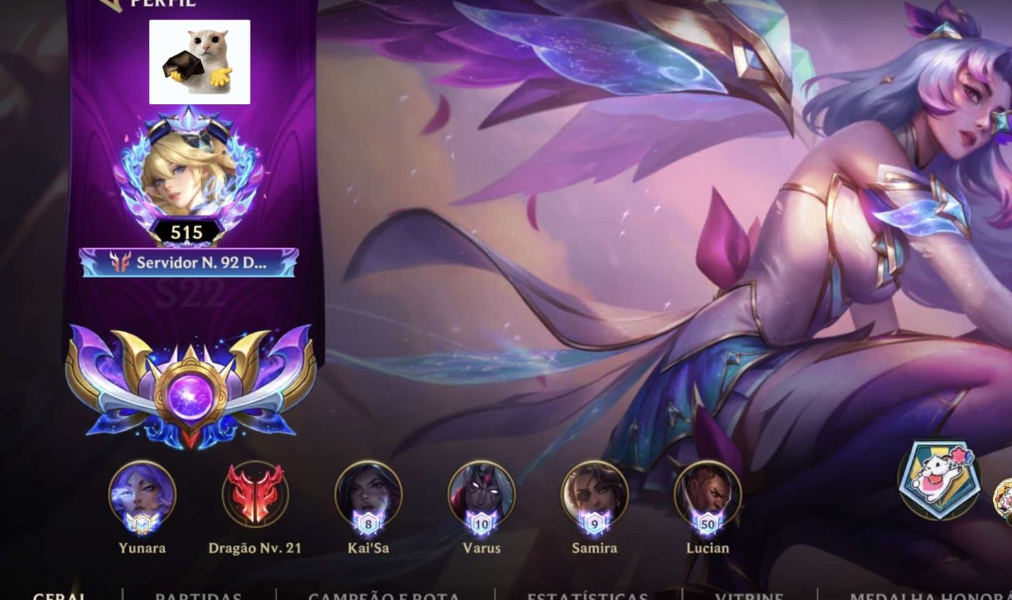 Conta top 92 adc servidor, com 220 Skins