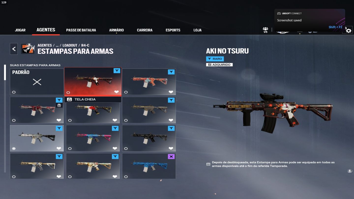 Conta Full Geleira e com Carbono de R6