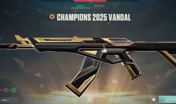 CONTA VALORANT FA 29 SKINS | VANDAL & KNIFE CHAMPIONS 2025 | ELDERFLAME VANDAL