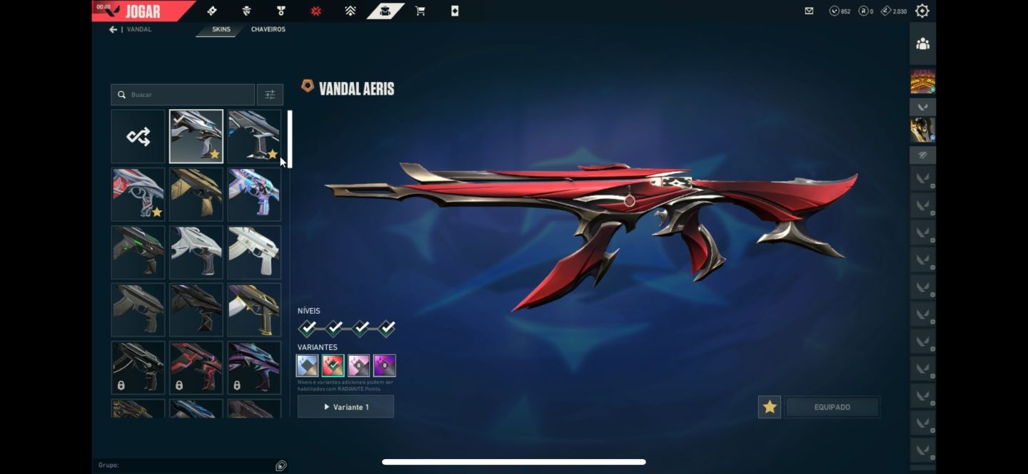 CONTA DE VALORANT LEVEL 171