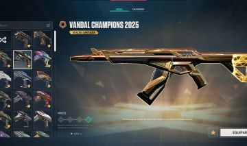 Conta de valorant com muita skin!