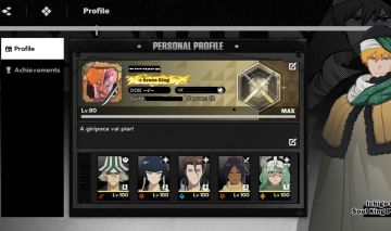 Bleach Soul Resonance, Conta LVL 80 Max Servidor 12